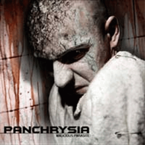 Panchrysia : Malicious Parasite